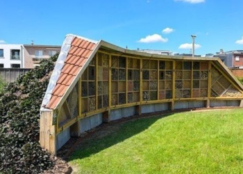 explore 5 star hotels for the biggest insects in belgium 121649