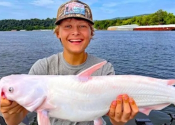 fifteen year old boy caught a rare catfish at full moon 121500