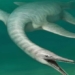 find strange stone flower monster myself vanishing dinosaur 123244
