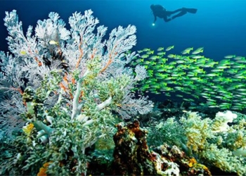 find the last paradise on earth very close to vietnam 122805