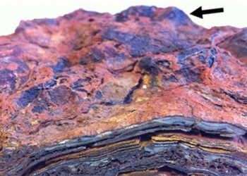 finding the place of life on earth born 3 5 billion years ago with the factor of sao hoa 124100