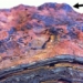 finding the place of life on earth born 3 5 billion years ago with the factor of sao hoa 124100