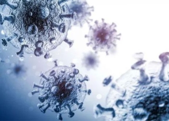 finding the super immune species that can neutralize hiv 122683