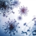 finding the super immune species that can neutralize hiv 122683