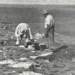finding the treasure of the emerald stone after 70 years 121413