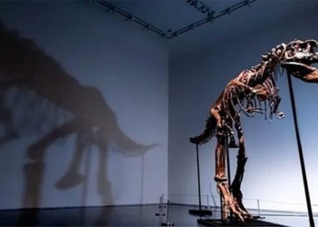 first auction of the complete skeleton of the gorgosaurus 121570