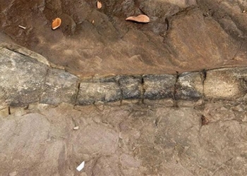 first discovery of dinosaur fossils in cambodia 123829