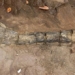 first discovery of dinosaur fossils in cambodia 123829
