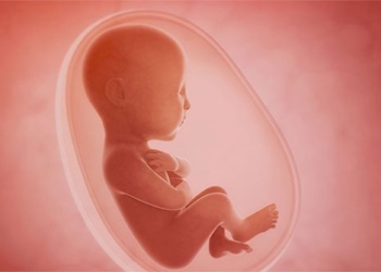 first evidence of fetal response to taste smell 123211