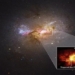 first time capturing monster light emitting children of life 118497