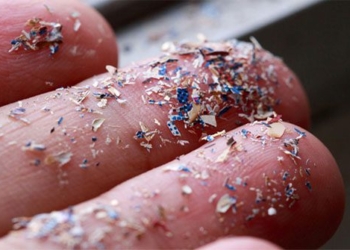 first time discovery of plastic micro particles in the lungs of living people 119846