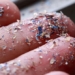 first time discovery of plastic micro particles in the lungs of living people 119846