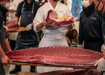 fish price 145000 usd at japan fish market 118179