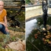 fish thief steals over 100 carp making owner cry nonstop 123917
