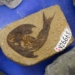 flower of the ancient 440 million years without information on human evolution 123377