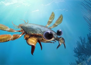 flower stone 90 million years ago reveals external appearance of strange armored type 98944