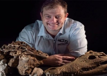 found 95 million year old stone flower of the dinosaur eating meat 118798