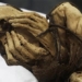 found mummified body with 1 000 year old hands in peru 118149