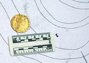 found rare gold coin in the tomb of mercenary soldier 122200