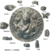 found silver medal in a 100 year old dream 123869