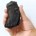 found the dentition of an extinct sea monster in the alps 120262