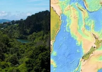 found the force of the earth surface after 375 years 119003