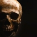 found the mysterious species in west africa 124489