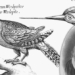 francis willughby the first person to classify bird species 118143