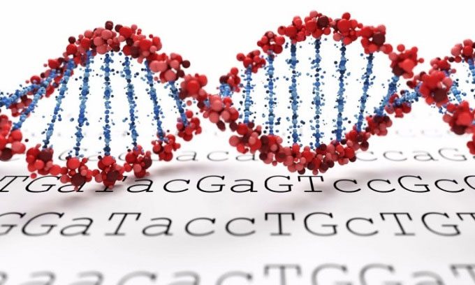 The new technique significantly shortens the time it takes to sequence genomes.