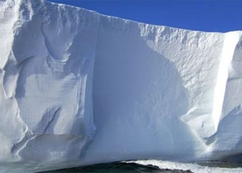 genetic medicine organism 1 million years old in south pole 123452
