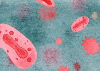 genetic mutability of the flu virus could make it more transmissible 122504