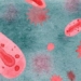 genetic mutability of the flu virus could make it more transmissible 122504