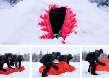 get inspiration from the polar bear to create the most unique camping tent 119830