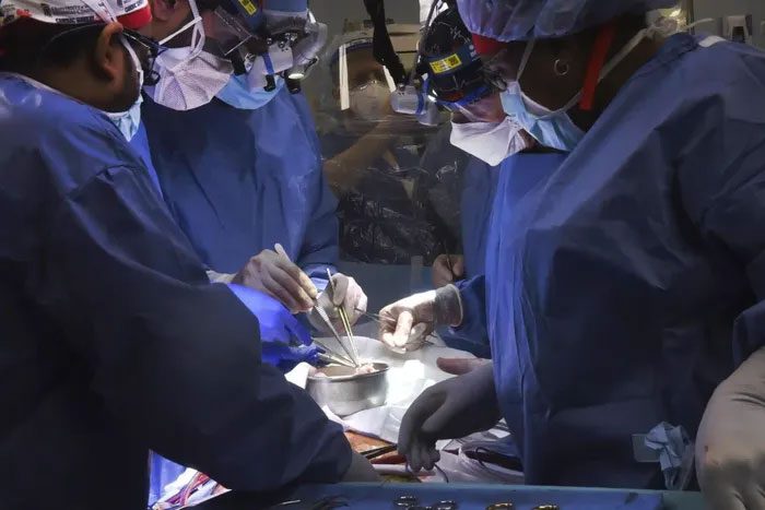 Doctors performing a pig heart transplant for Mr. David Bennett in Baltimore.