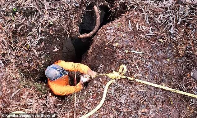 Kawika Singson descends into the narrow crack to rescue the dog Malka.