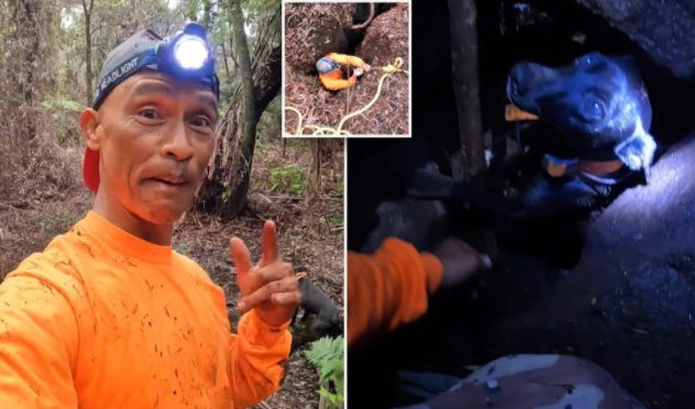 The dog fell into a crack on Kilauea volcano, Hilo Island.