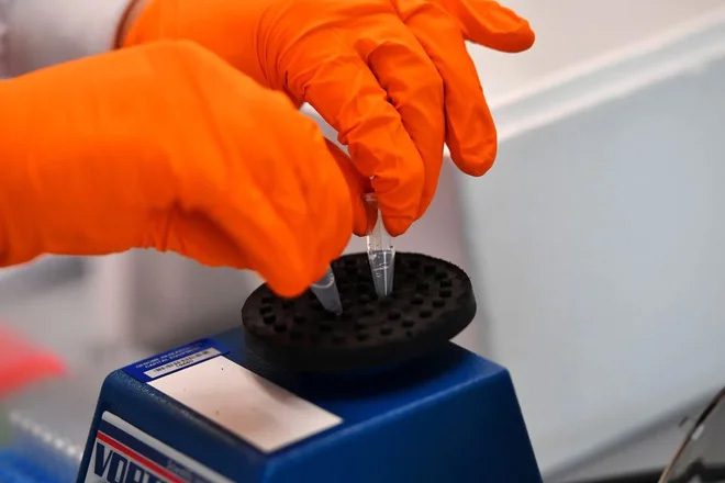 Decoding the virus's genome at the Covid-19 Genomics UK laboratory in Cambridge, England