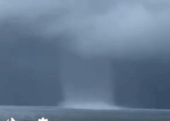 giant elephant appears in the sea area of phu quoc 122916