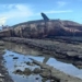 giant squid appears in philippine coast causing experts to worry 120706
