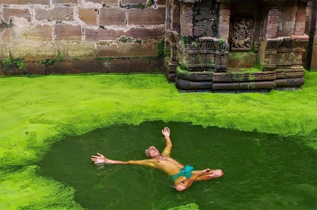 The refreshing green hue of the well water.