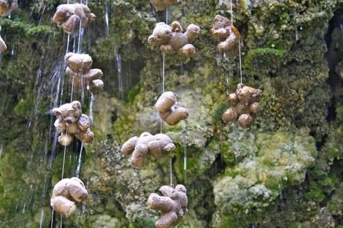 gieng nuoc hoa da