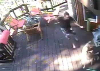 give the dog a sudden scare before the owner 121420