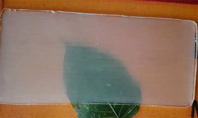 Transparent wood can replace plastic in various fields.