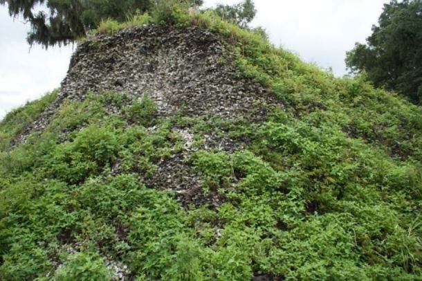 The shell mound shows the abundance of oyster beds from thousands of years ago.