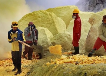 gold in the rice mountain what is special that makes hundreds of laborers risk their lives to earn 120358