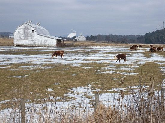 Inside the "most backward" town in America
