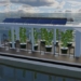 green technology transforming seawater into freshwater creating new living opportunities for coastal communities 123101