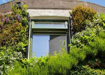green wall can help combat climate change 118810