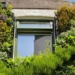 green wall can help combat climate change 118810