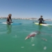 group of boat rowers unexpectedly discover giant aquatic creature seriously injured 119871